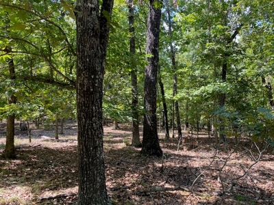 Ozarks Wooded Acreage For Sale Near Salem Ar - image 14
