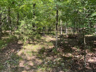 Ozarks Wooded Acreage For Sale Near Salem Ar - image 10
