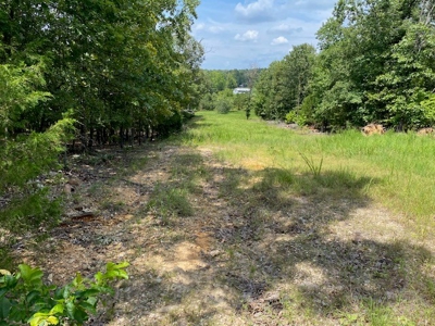 Ozarks Wooded Acreage For Sale Near Salem Ar - image 16