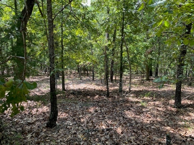 Ozarks Wooded Acreage For Sale Near Salem Ar - image 12