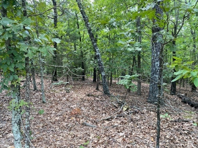 Ozarks Wooded Acreage For Sale Near Salem Ar - image 18