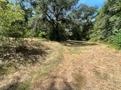 Commercial Lot For Sale in Longview Texas - image 2