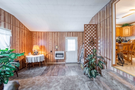 Country Home and 32 +/- Acres in Oregon County, Missouri - image 18