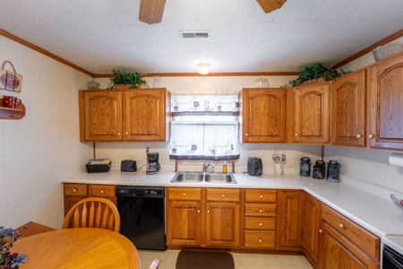 Country Home and 32 +/- Acres in Oregon County, Missouri - image 15