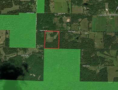 Country Home and 32 +/- Acres in Oregon County, Missouri - image 36
