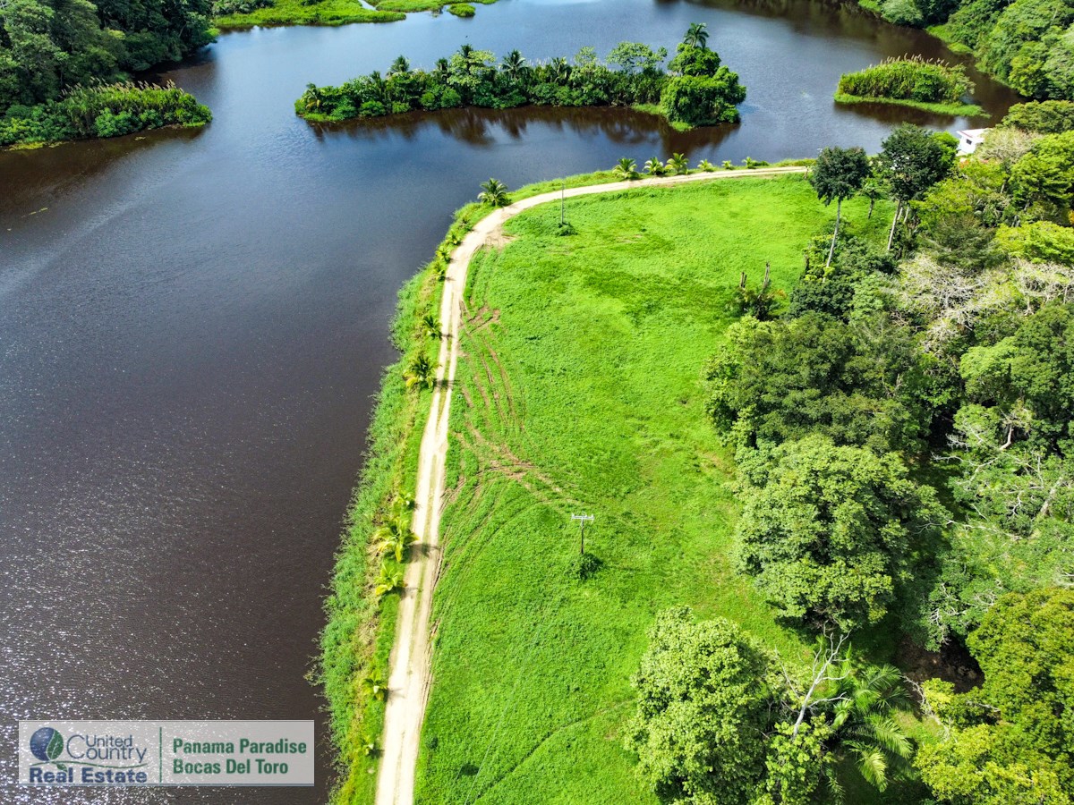 1 Remaining Titled Lot — Big Creek, Isla Colón - 5