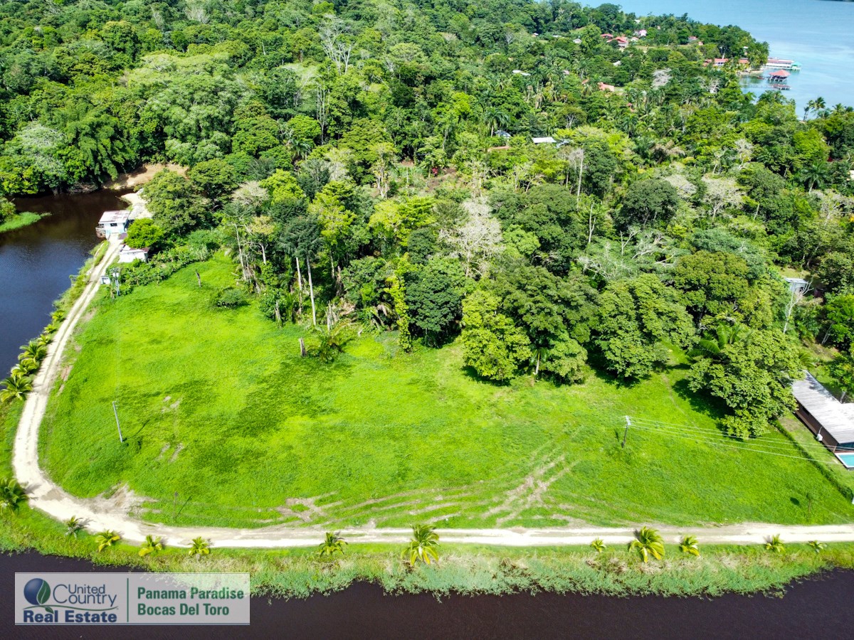1 Remaining Titled Lot — Big Creek, Isla Colón - 4