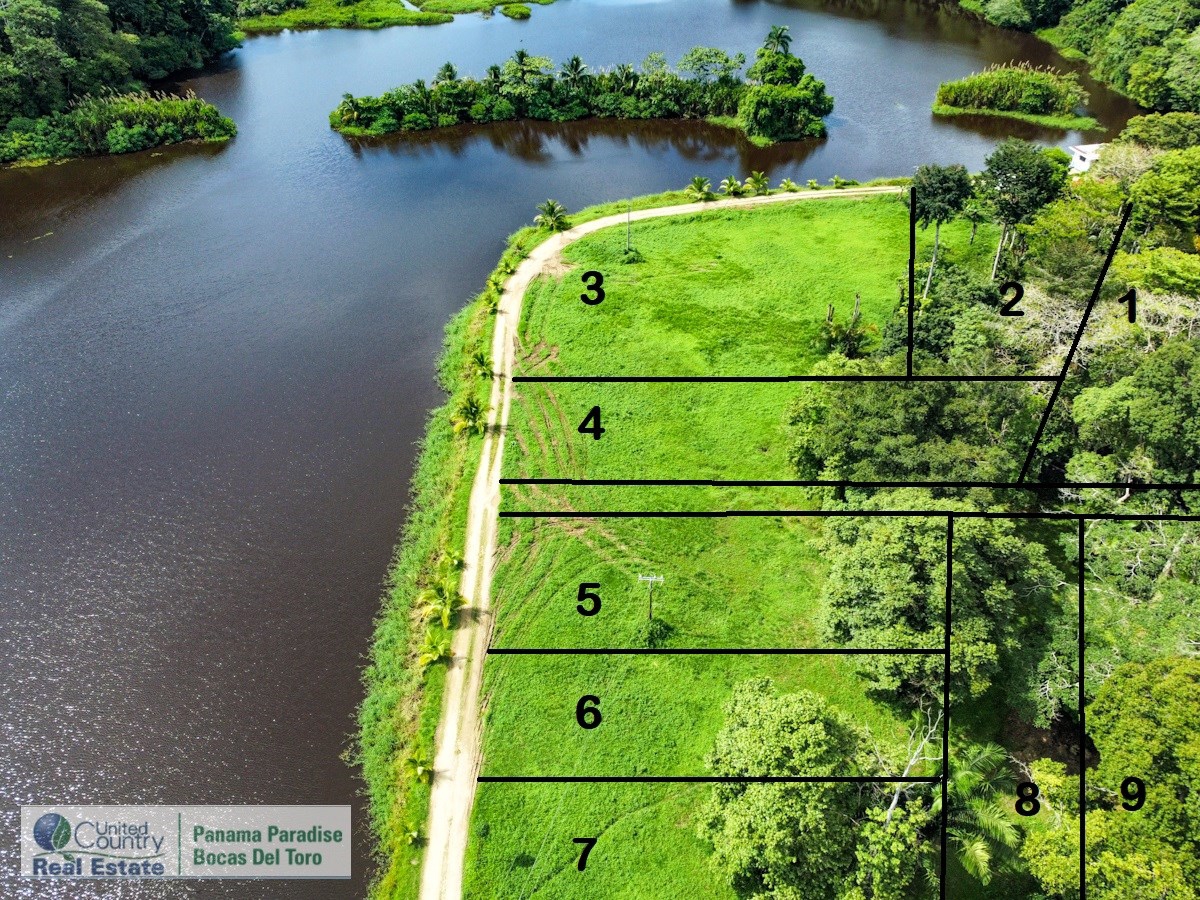1 Remaining Titled Lot — Big Creek, Isla Colón - 6