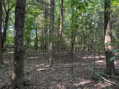 Cutsey Hill Haven In Southern VA - image 28