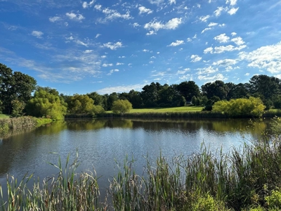 Cutsey Hill Haven In Southern VA - image 15