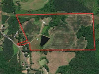 Cutsey Hill Haven In Southern VA - image 2