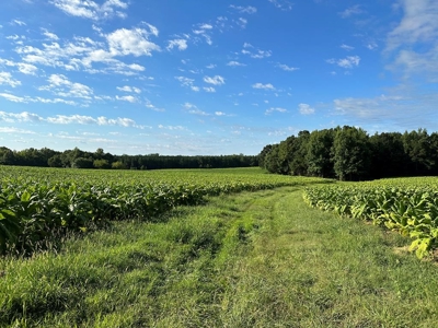 Cutsey Hill Haven In Southern VA - image 18