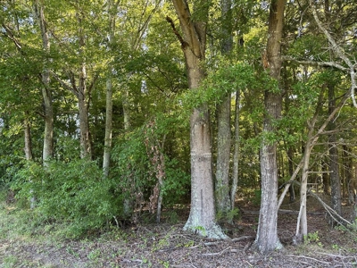 Cutsey Hill Haven In Southern VA - image 36