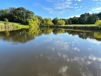 Cutsey Hill Haven In Southern VA - image 14