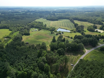 Cutsey Hill Haven In Southern VA - image 4