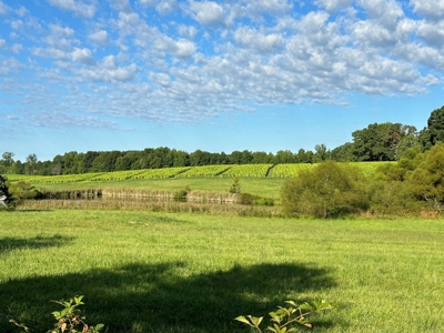 Cutsey Hill Haven In Southern VA - image 7