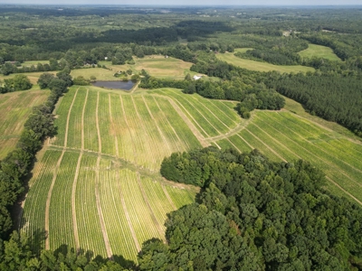 Cutsey Hill Haven In Southern VA - image 3