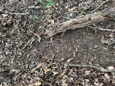 Cutsey Hill Haven In Southern VA - image 27
