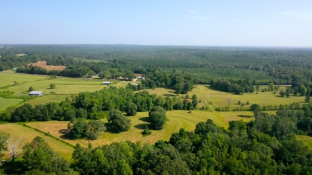 Discover Tranquil Living on 84 acres of Rolling Pastureland - image 19