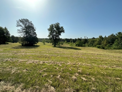 Discover Tranquil Living on 84 acres of Rolling Pastureland - image 5