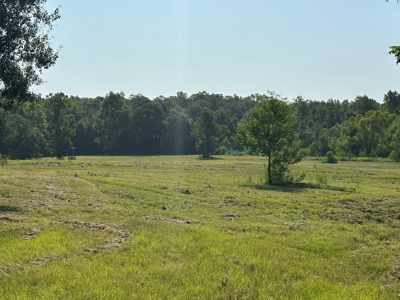 Discover Tranquil Living on 84 acres of Rolling Pastureland - image 4