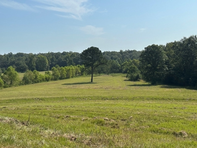 Discover Tranquil Living on 84 acres of Rolling Pastureland - image 1