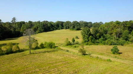 Discover Tranquil Living on 84 acres of Rolling Pastureland - image 18