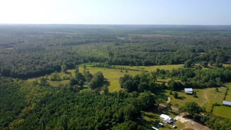 Discover Tranquil Living on 84 acres of Rolling Pastureland - image 13