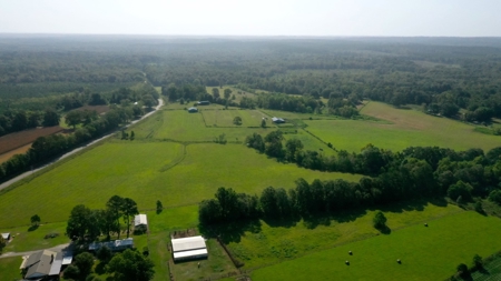 Discover Tranquil Living on 84 acres of Rolling Pastureland - image 14