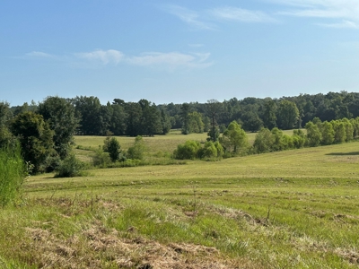 Discover Tranquil Living on 84 acres of Rolling Pastureland - image 2