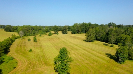 Discover Tranquil Living on 84 acres of Rolling Pastureland - image 17