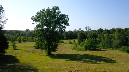 Discover Tranquil Living on 84 acres of Rolling Pastureland - image 15