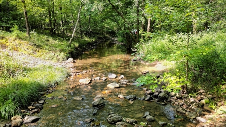 Mill Creek at Burnham Mountain for Sale West Arkansas - image 6