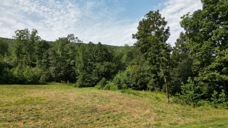 Mill Creek at Burnham Mountain for Sale West Arkansas - image 10
