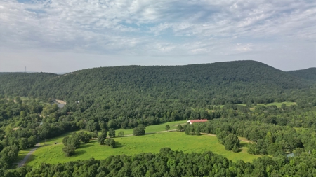 Mill Creek at Burnham Mountain for Sale West Arkansas - image 2