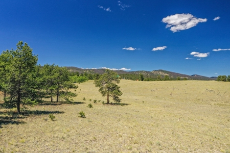 Magnificent Corner Lot In Ranch Of The Rockies - image 11