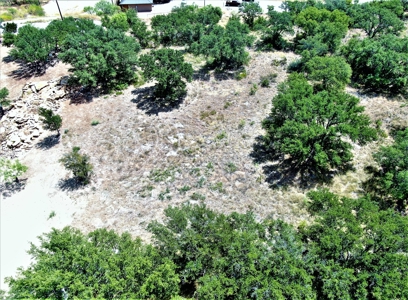 FANTASTIC LAKE VIEW AND GOLF COURSE LOT at LAKE BROWNWOOD - image 6
