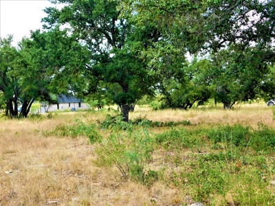 FANTASTIC LAKE VIEW AND GOLF COURSE LOT at LAKE BROWNWOOD - image 1