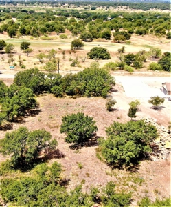 FANTASTIC LAKE VIEW AND GOLF COURSE LOT at LAKE BROWNWOOD - image 7