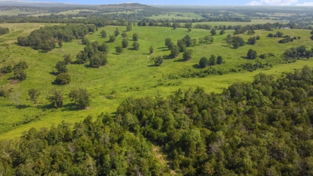 120 Acres In The Heart Of The Missouri Ozarks - image 3