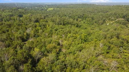 120 Acres In The Heart Of The Missouri Ozarks - image 9