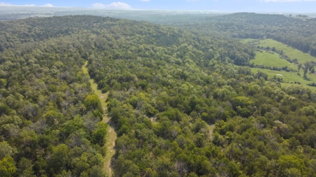 120 Acres In The Heart Of The Missouri Ozarks - image 18