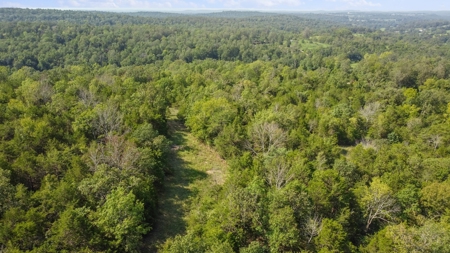 120 Acres In The Heart Of The Missouri Ozarks - image 8