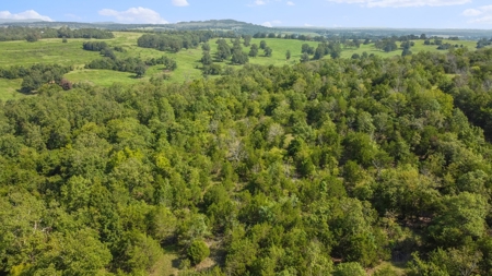 120 Acres In The Heart Of The Missouri Ozarks - image 10