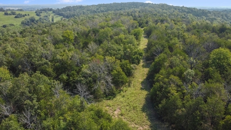 120 Acres In The Heart Of The Missouri Ozarks - image 7