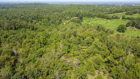 120 Acres In The Heart Of The Missouri Ozarks - image 4
