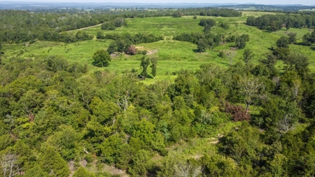 120 Acres In The Heart Of The Missouri Ozarks - image 5