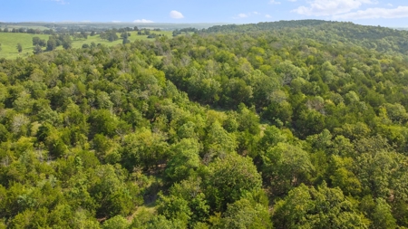 120 Acres In The Heart Of The Missouri Ozarks - image 11