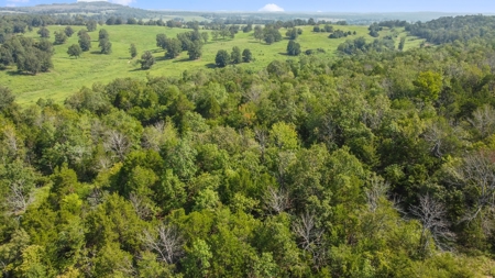 120 Acres In The Heart Of The Missouri Ozarks - image 6