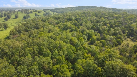 120 Acres In The Heart Of The Missouri Ozarks - image 12